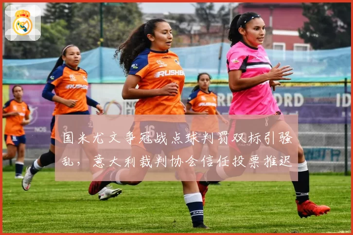 国米尤文争冠战点球判罚双标引骚乱，意大利裁判协会信任投票推迟至下月
