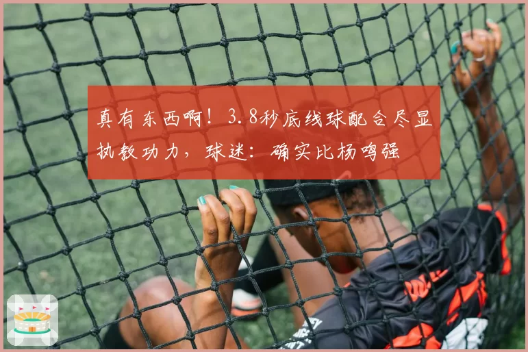 真有东西啊！3.8秒底线球配合尽显执教功力，球迷：确实比杨鸣强