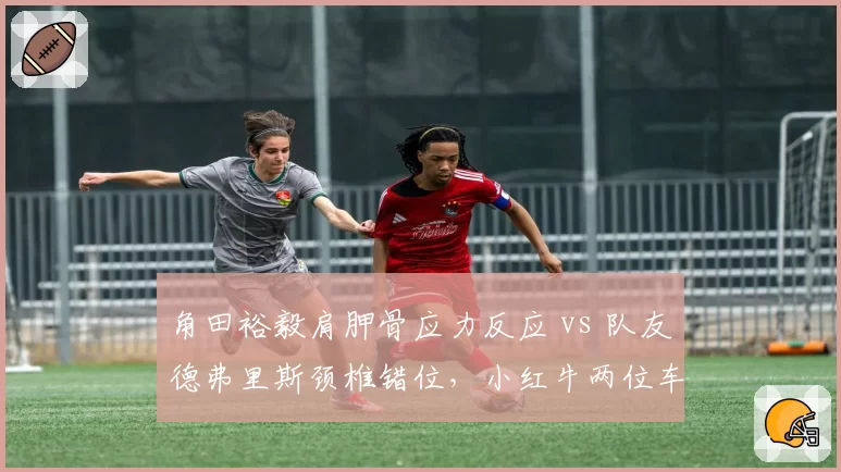 角田裕毅肩胛骨应力反应 vs 队友德弗里斯颈椎错位,小红牛两位车手伤停位置不同引关注
