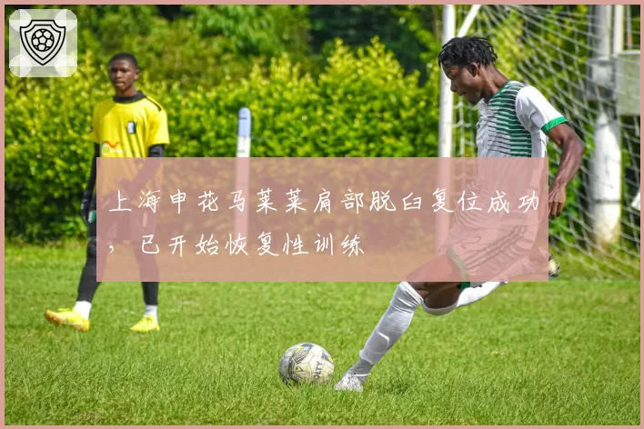 上海申花马莱莱肩部脱臼复位成功,已开始恢复性训练