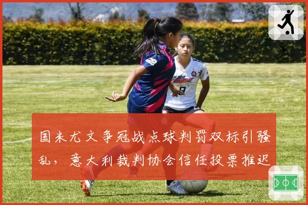国米尤文争冠战点球判罚双标引骚乱，意大利裁判协会信任投票推迟至下月